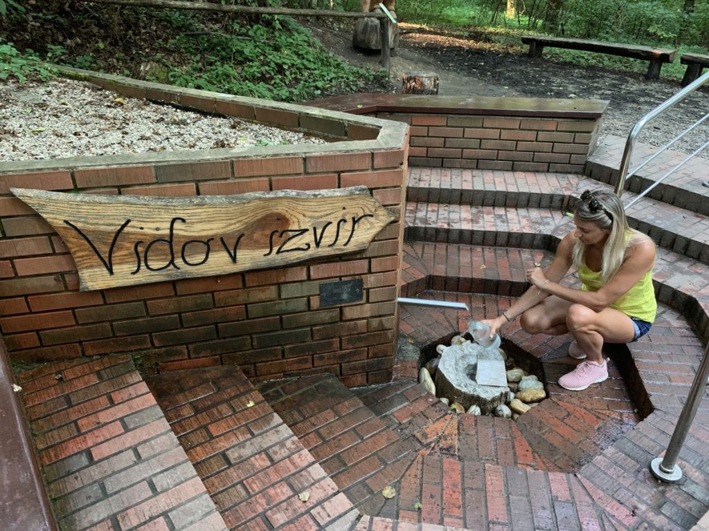 Prekmurje DJI