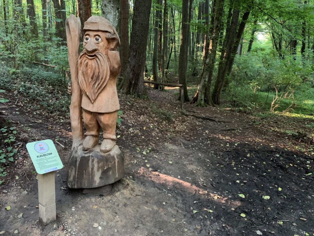 Prekmurje DJI