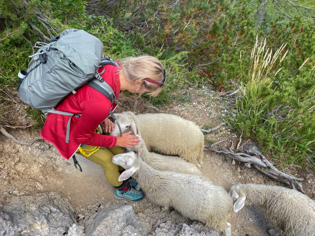 Prisojnik Kopiscarjeva