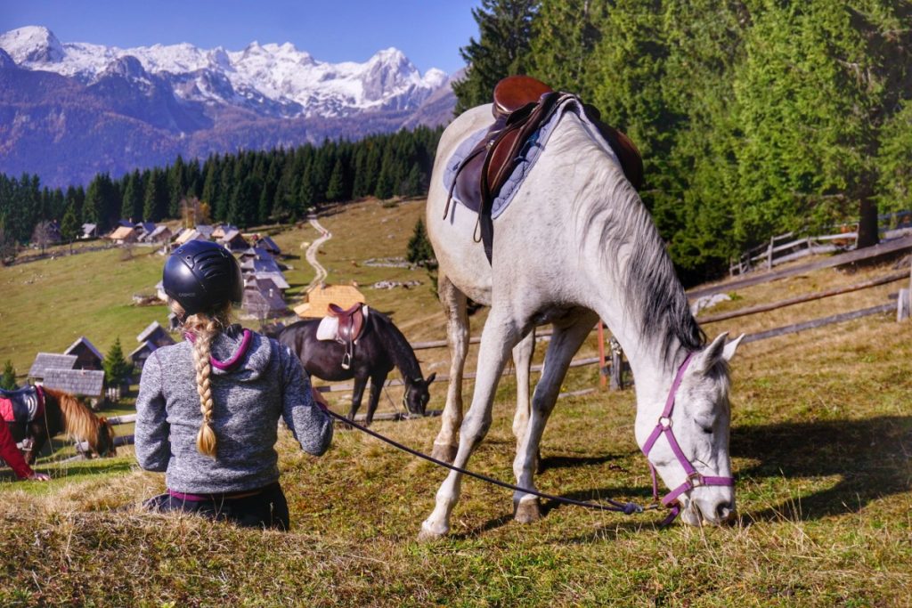 Pravljična planina Zajamniki: na konjskem hrbtu iz Studorja mimo planine na Uskovnici do planine Zajamniki